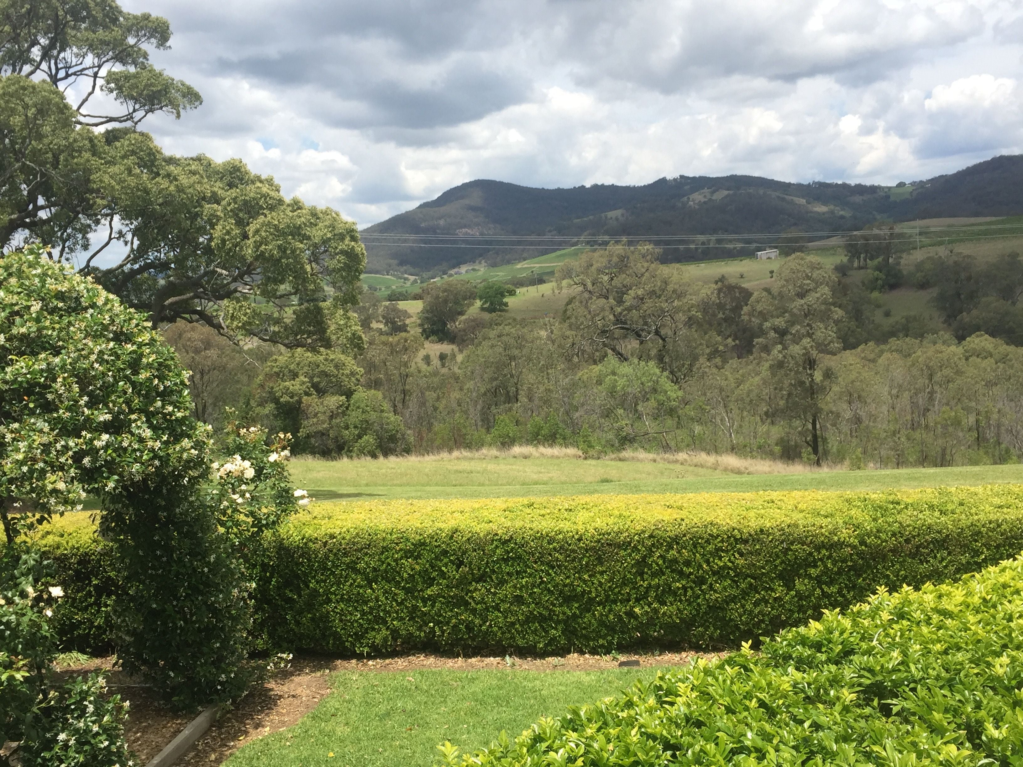 Hunter Valley Vineyard Group Bus Trips Image -5b1f2e5767593